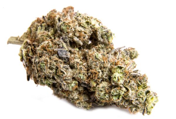 Bordello Strain Online