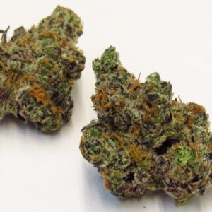 Apple Fritter