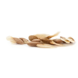 Khat Seeds