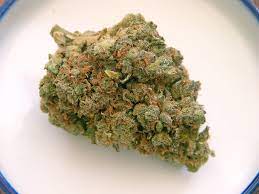 Grapefruit Romulan